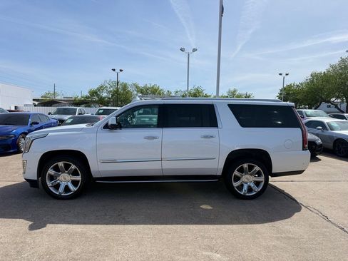 Used 2019 Cadillac Escalade ESV Premium Luxury image 5
