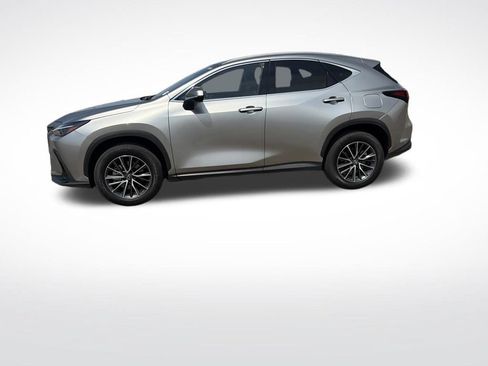 Used 2025 Lexus NX 350 AWD w/ Cold Area Package image 2