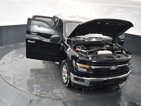 Used 2025 Ford F150 XLT w/ Equipment Group 301A Standard image 21