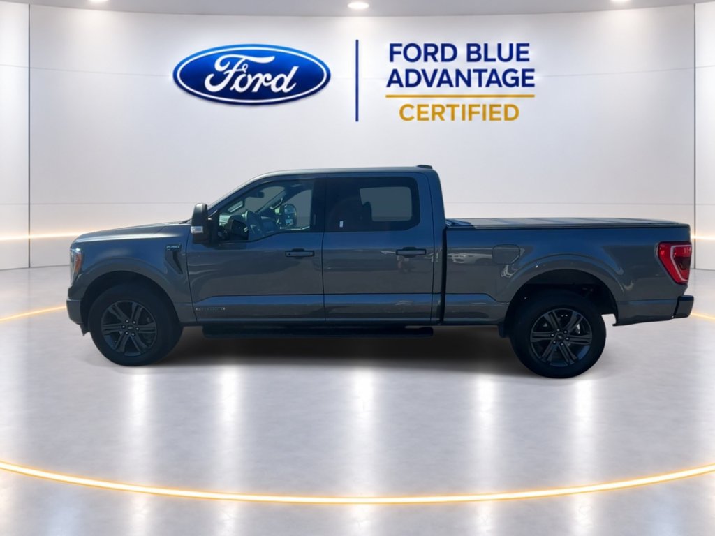 Certified 2023 Ford F150 XLT w/ Equipment Group 302A High AWD/4WD image 6