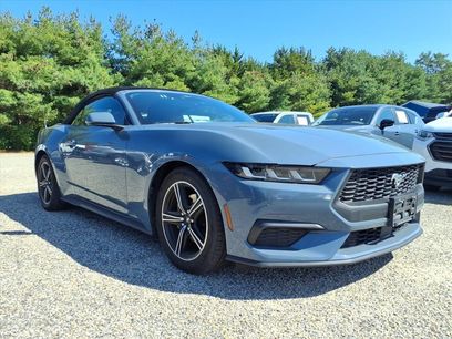 Used 2024 Ford Mustang Premium