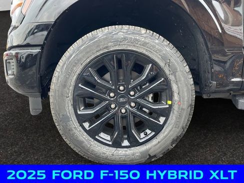 New 2025 Ford F150 XLT w/ Equipment Group 302A MID image 14
