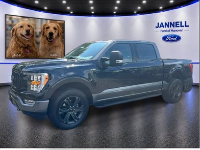 Used 2023 Ford F150 XLT w/ Equipment Group 302A High