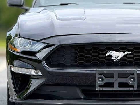 Used 2019 Ford Mustang Premium w/ Equipment Group 201A RWD image 14