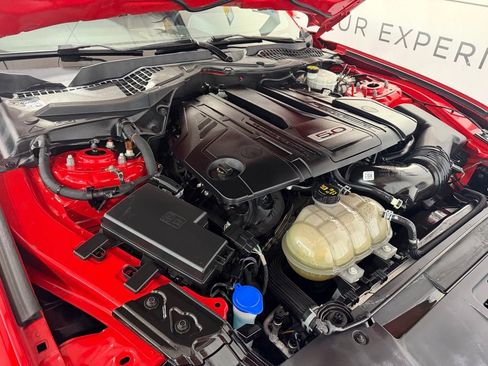 Used 2021 Ford Mustang GT Premium w/ Equipment Group 401A RWD image 6
