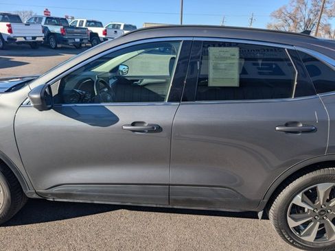 Used 2024 Ford Escape Platinum image 5