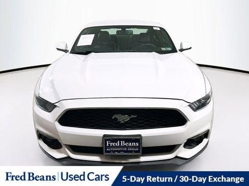 Used 2016 Ford Mustang Premium w/ Equipment Group 201A image 2