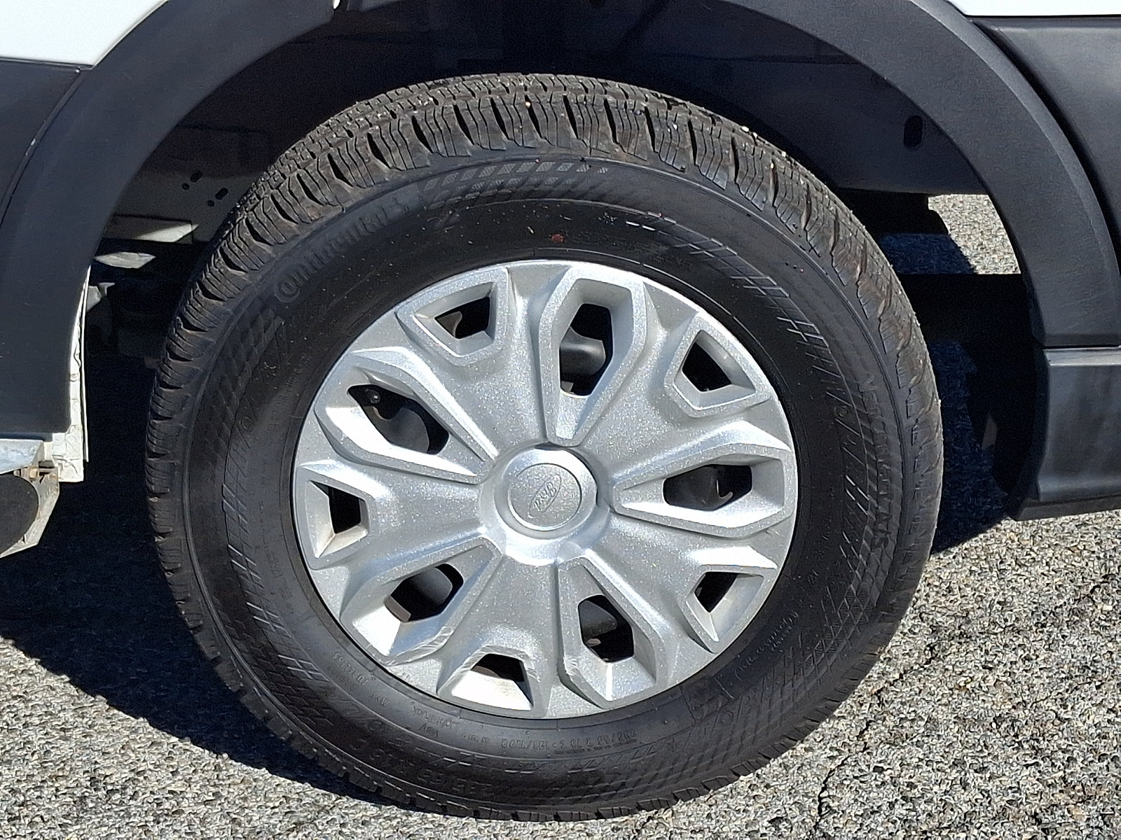 Certified 2025 Ford Transit 250 Low Roof w/ Exterior Upgrade Package RWD image 11