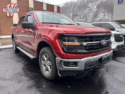 Used 2025 Ford F150 XLT w/ Equipment Group 301A Standard