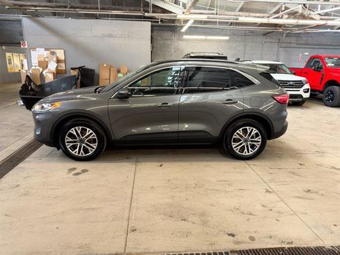 Certified 2022 Ford Escape SEL image 3