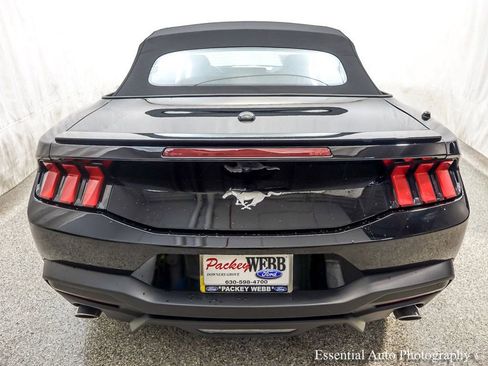 Used 2025 Ford Mustang Premium RWD image 7