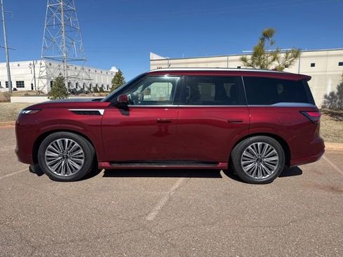 Certified 2025 INFINITI QX80 Sensory image 8
