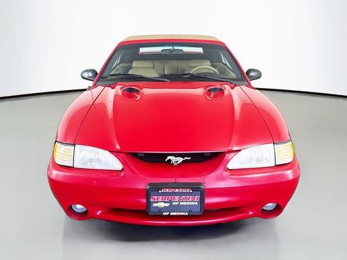 Used 1997 Ford Mustang Cobra RWD image 4
