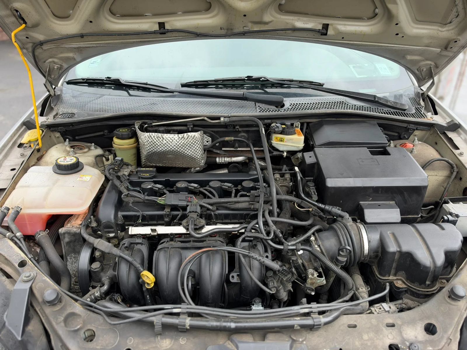 Used 2005 Ford Focus SES FWD image 15