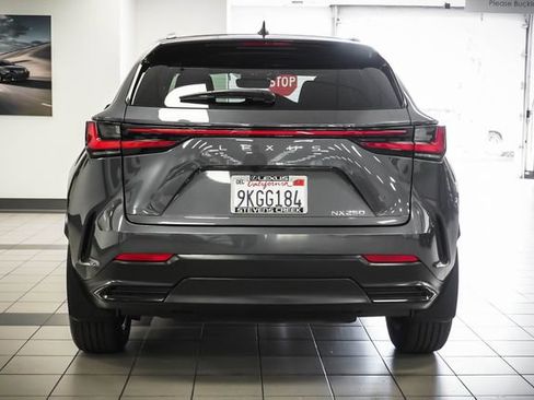 Used 2024 Lexus NX 250 FWD w/ Cold Area Package image 7