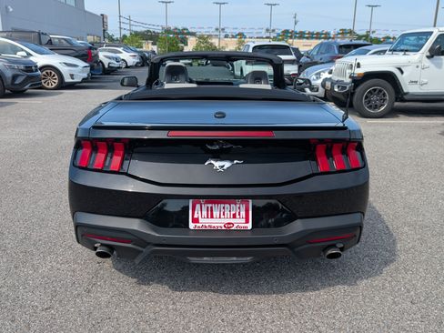 Used 2024 Ford Mustang Premium RWD image 4