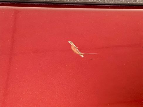 Used 2019 RAM 1500 Laramie w/ Convenience Group image 48