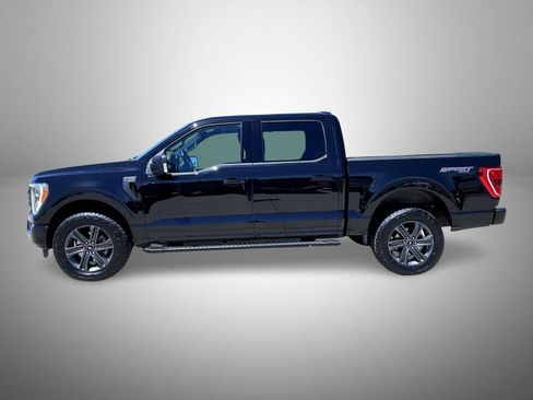 Used 2023 Ford F150 XLT w/ Equipment Group 302A High AWD/4WD image 8