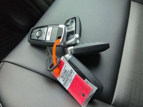 New 2026 Ford Transit 250 148 High Roof Extended w/ Load Area Protection Package RWD image 28