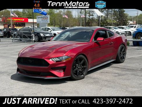 Used 2019 Ford Mustang Coupe w/ Black Accent Package image 1