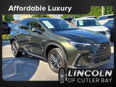 Used 2024 Lexus NX 250 250 Premium