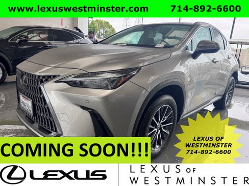 Used 2025 Lexus NX 250 FWD w/ Accessory Package (2T) image 1