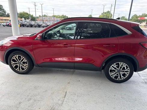 Used 2022 Ford Escape SEL AWD/4WD image 5