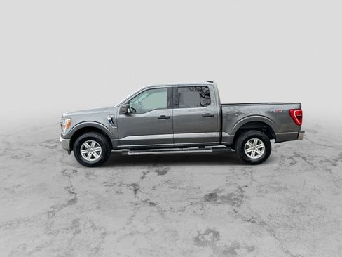 Used 2021 Ford F150 XLT w/ Equipment Group 301A Mid image 5