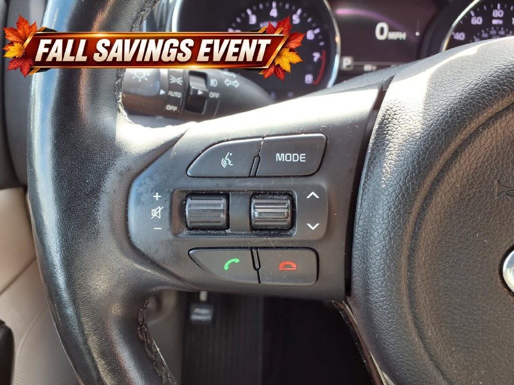 Used 2016 Kia Sedona SX FWD image 19