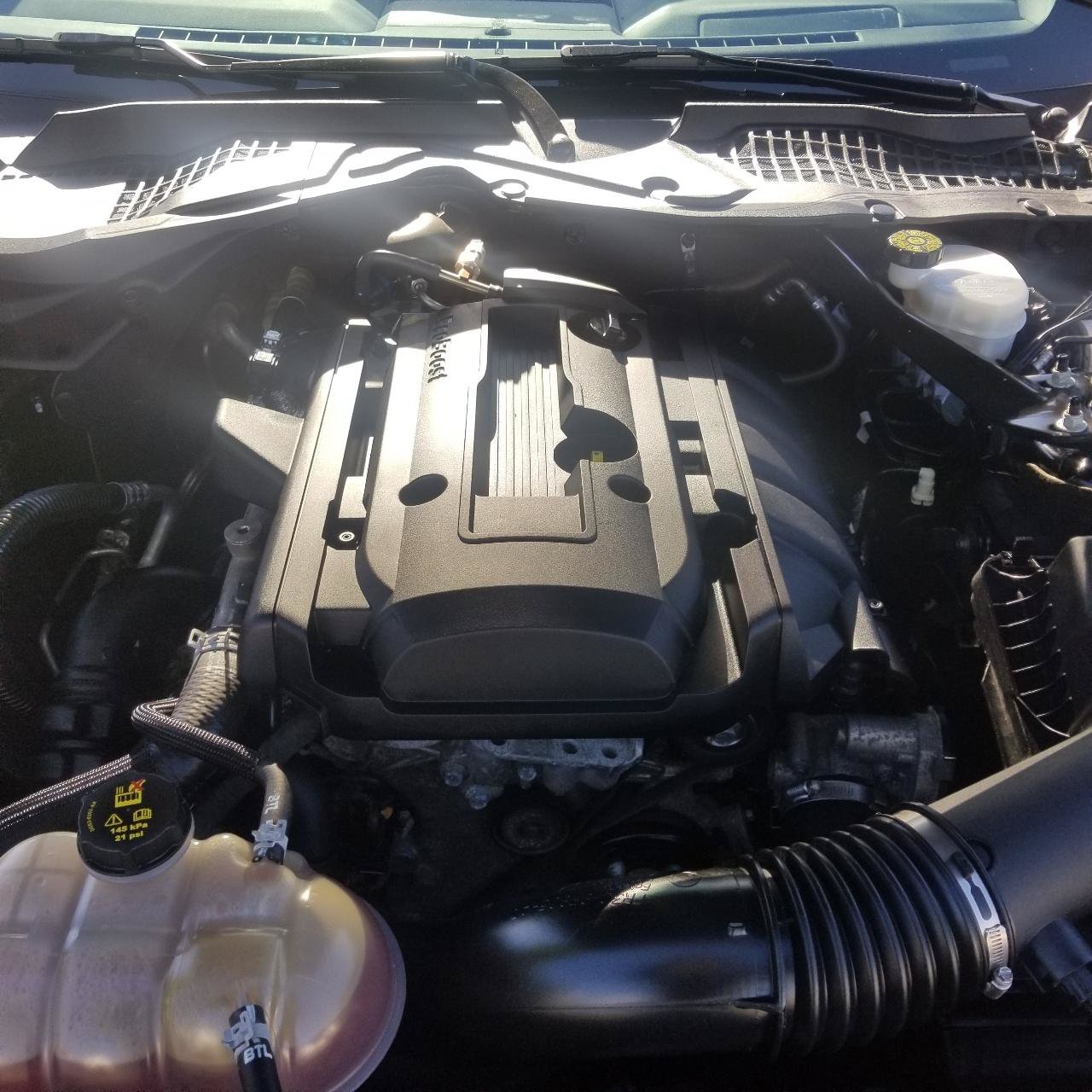 Used 2020 Ford Mustang Premium RWD image 21