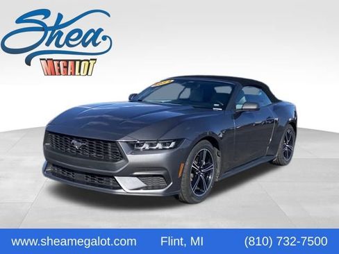 Used 2024 Ford Mustang Premium image 1