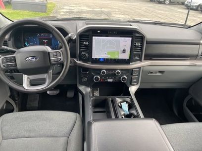 Used 2025 Ford F150 XLT w/ Equipment Group 302A MID