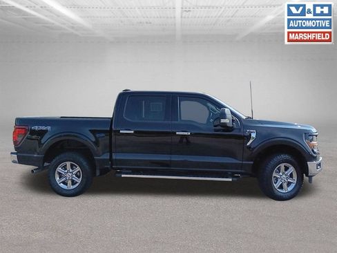 Used 2024 Ford F150 XLT w/ Equipment Group 302A MID AWD/4WD image 4