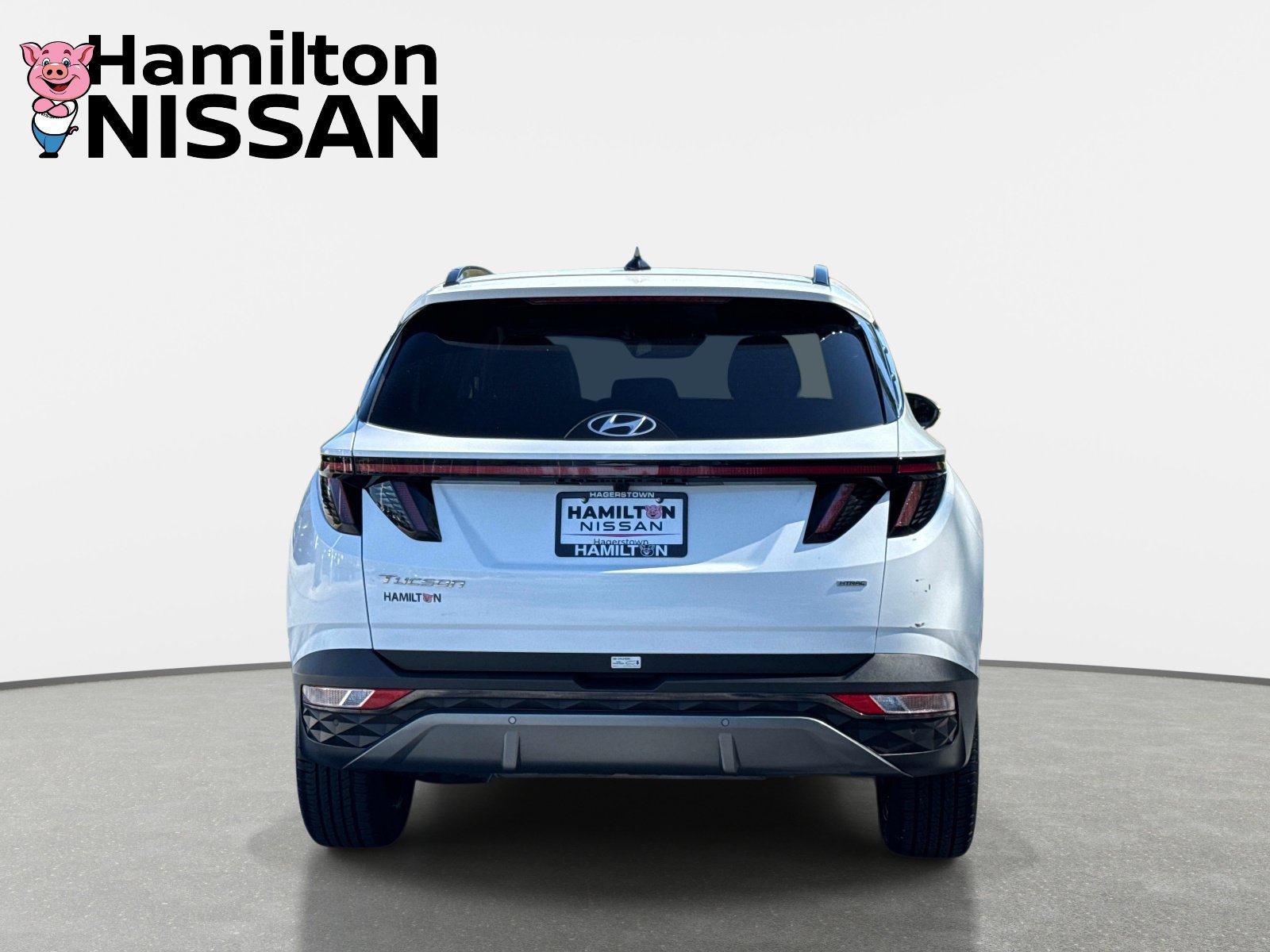Used 2024 Hyundai Tucson Limited AWD/4WD image 3