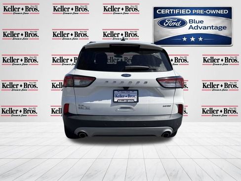 Certified 2022 Ford Escape SEL image 6