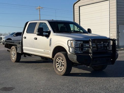 Used 2019 Ford F250 XL w/ STX Appearance Package image 2