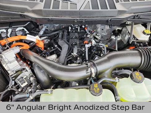 New 2025 Ford F150 XLT w/ Equipment Group 302A MID image 21