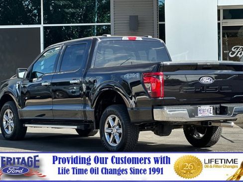Used 2025 Ford F150 XLT w/ Equipment Group 301A Standard AWD/4WD image 6