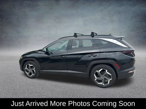 Used 2024 Hyundai Tucson Limited FWD image 2
