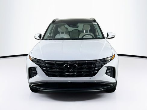 Used 2023 Hyundai Tucson Limited image 2