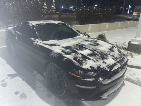 Used 2018 Ford Mustang Coupe w/ Ecoboost Performance Package image 4