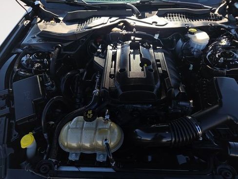 Used 2019 Ford Mustang Premium w/ Equipment Group 201A image 31