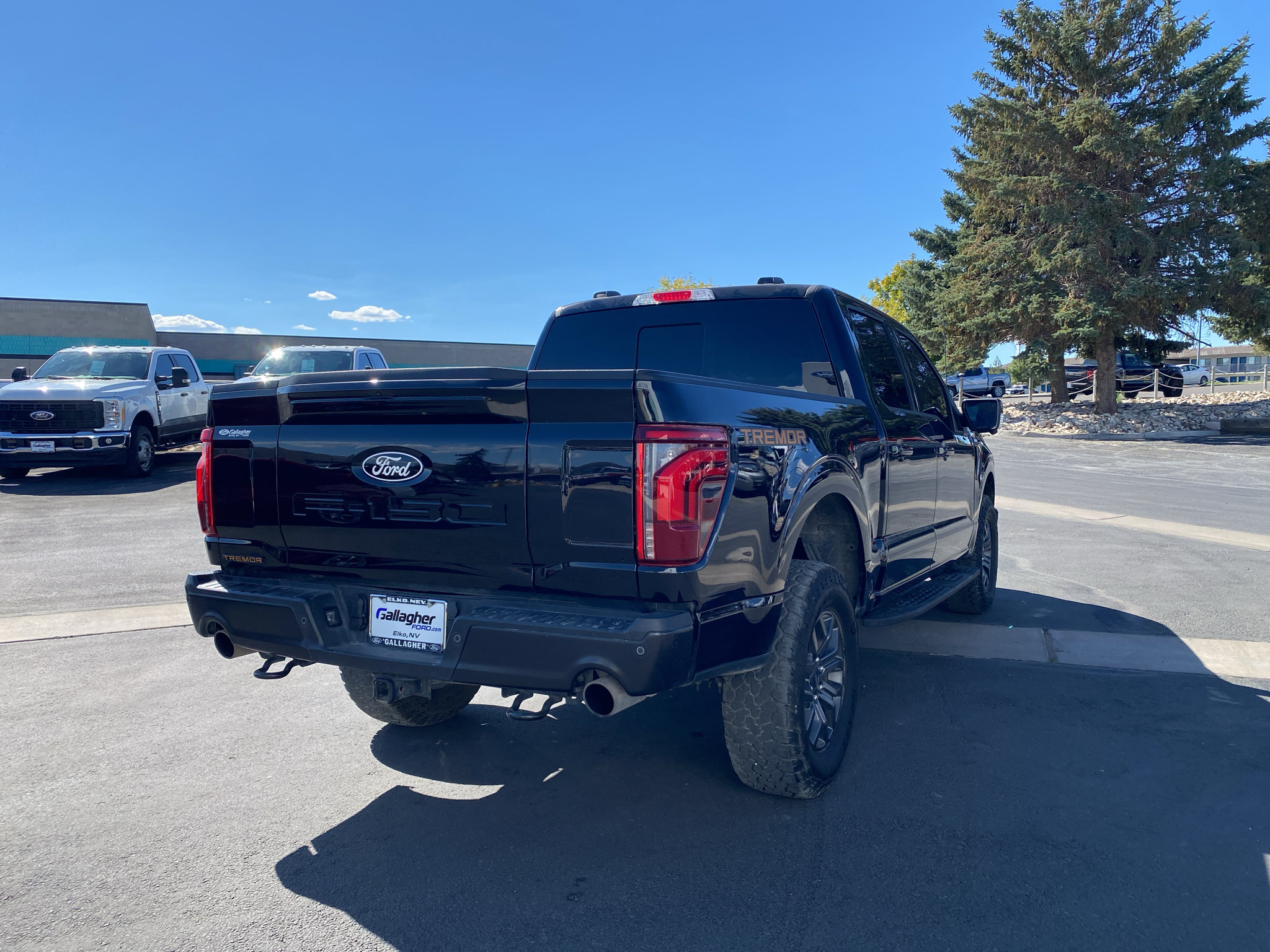 Certified 2025 Ford F150 Tremor w/ Equipment Group 402A High AWD/4WD image 26