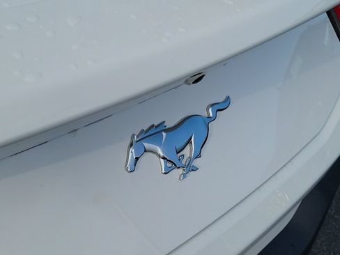 Used 2026 Ford Mustang Coupe RWD image 5