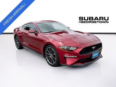 Used 2019 Ford Mustang Premium w/ Wheel & Stripe Package