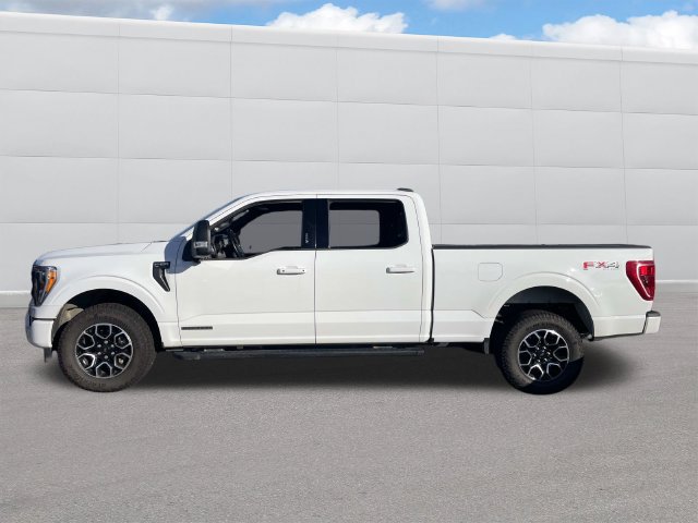 Used 2023 Ford F150 XLT w/ Equipment Group 302A High AWD/4WD image 2