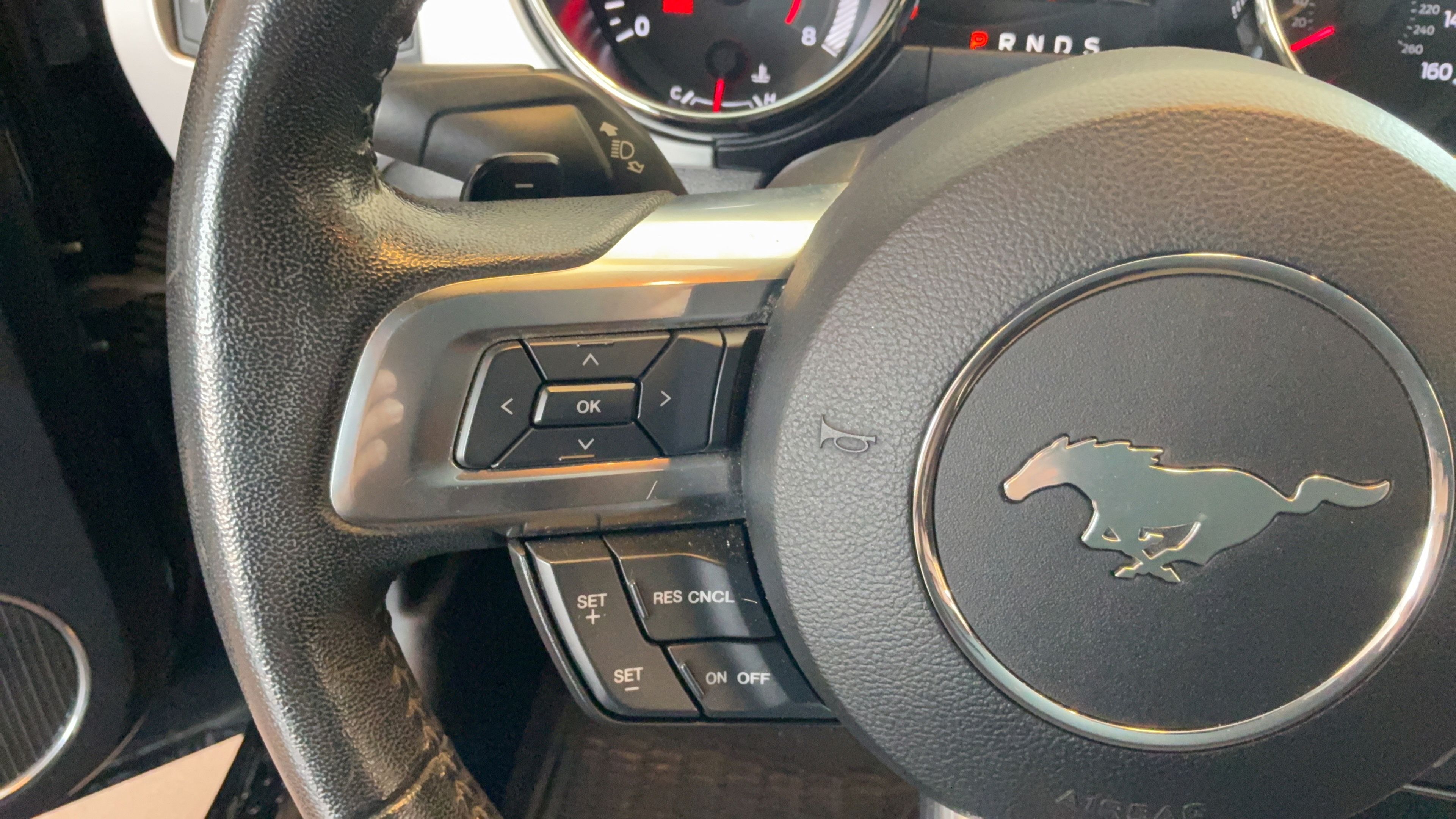 Used 2017 Ford Mustang Premium RWD image 15