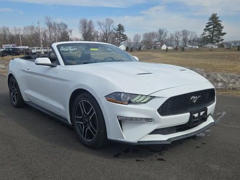 Used 2023 Ford Mustang Premium RWD image 3