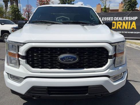 Used 2021 Ford F150 XL w/ STX Appearance Package AWD/4WD image 3