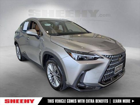 Certified 2025 Lexus NX 350h AWD w/ Cold Area Package image 1